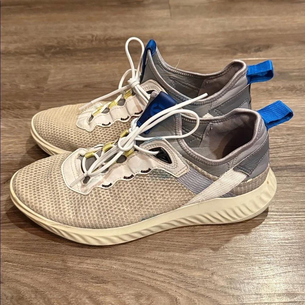 Ecco here pair